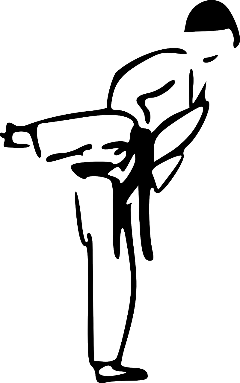 karate, kick, martial